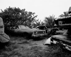 Rollei Retro 80S (35mm) - Image 3