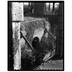 Film Washi-Y — ISO 100 panchromatic Black & White Film (120) - Image 6