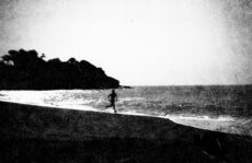 Film Washi-W — ISO 25 Orthochromatic Black & White Film (4x5 - 12 Sheets) - Image 3